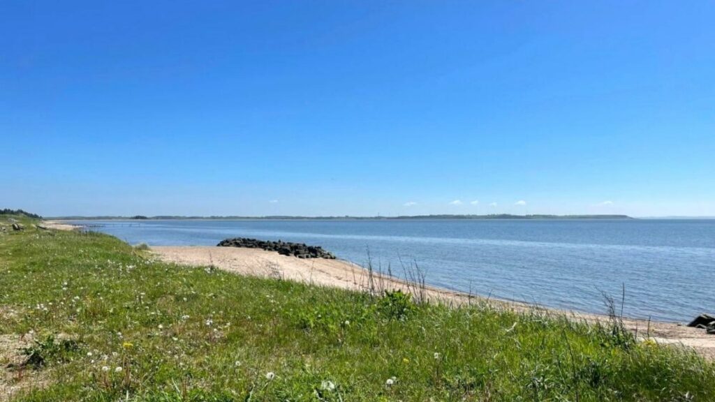 Sommerhuse ved Hostrup ved Limfjorden