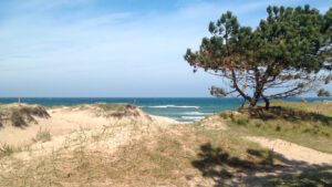 Stranden ved Asserbo på Nordsjælland - Sommerhusudlejning på Sjælland