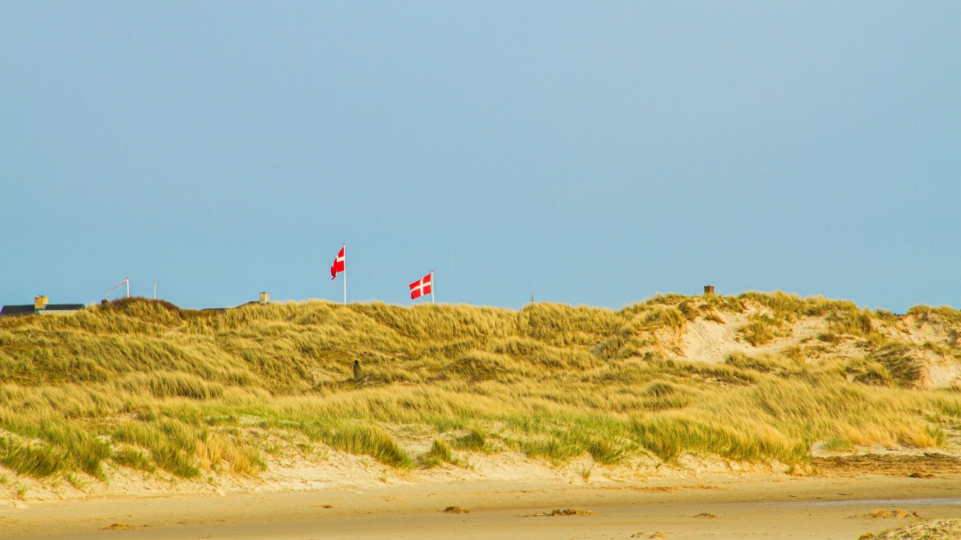 Stranden på Fanø - lej store sommerhus tæt på stranden på Fanø
