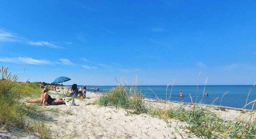 Starnden i Fjellerup - udlejning af store sommerhuse