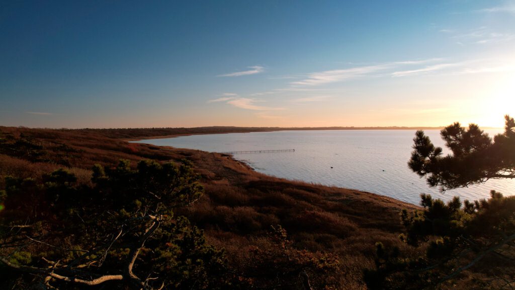 Jægerspris Bugt - sommerhusudlejning ved Jægerspris i Nordsjælland