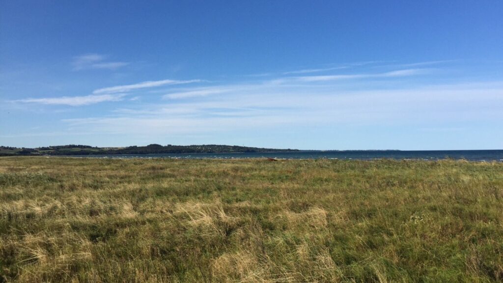 Natur ved Odsherred - sommerhusudlejning i Odsherred