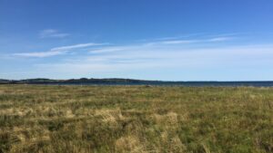 Natur ved Odsherred - sommerhusudlejning i Odsherred