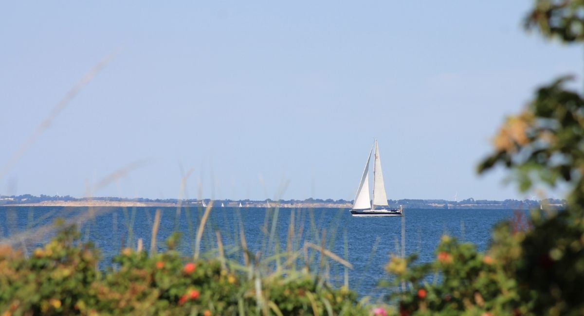 Udsigt til Lillebælt i nærheden af sommerhusene i Købingsmark på Nordals