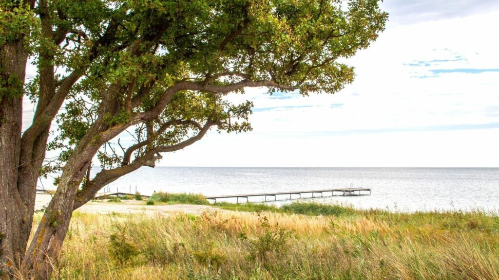 Østersøbadet på Lolland - store sommerhuse til udlejning ved Østersøbadet på Lolland