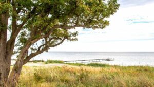 Østersøbadet på Lolland - store sommerhuse til udlejning ved Østersøbadet på Lolland