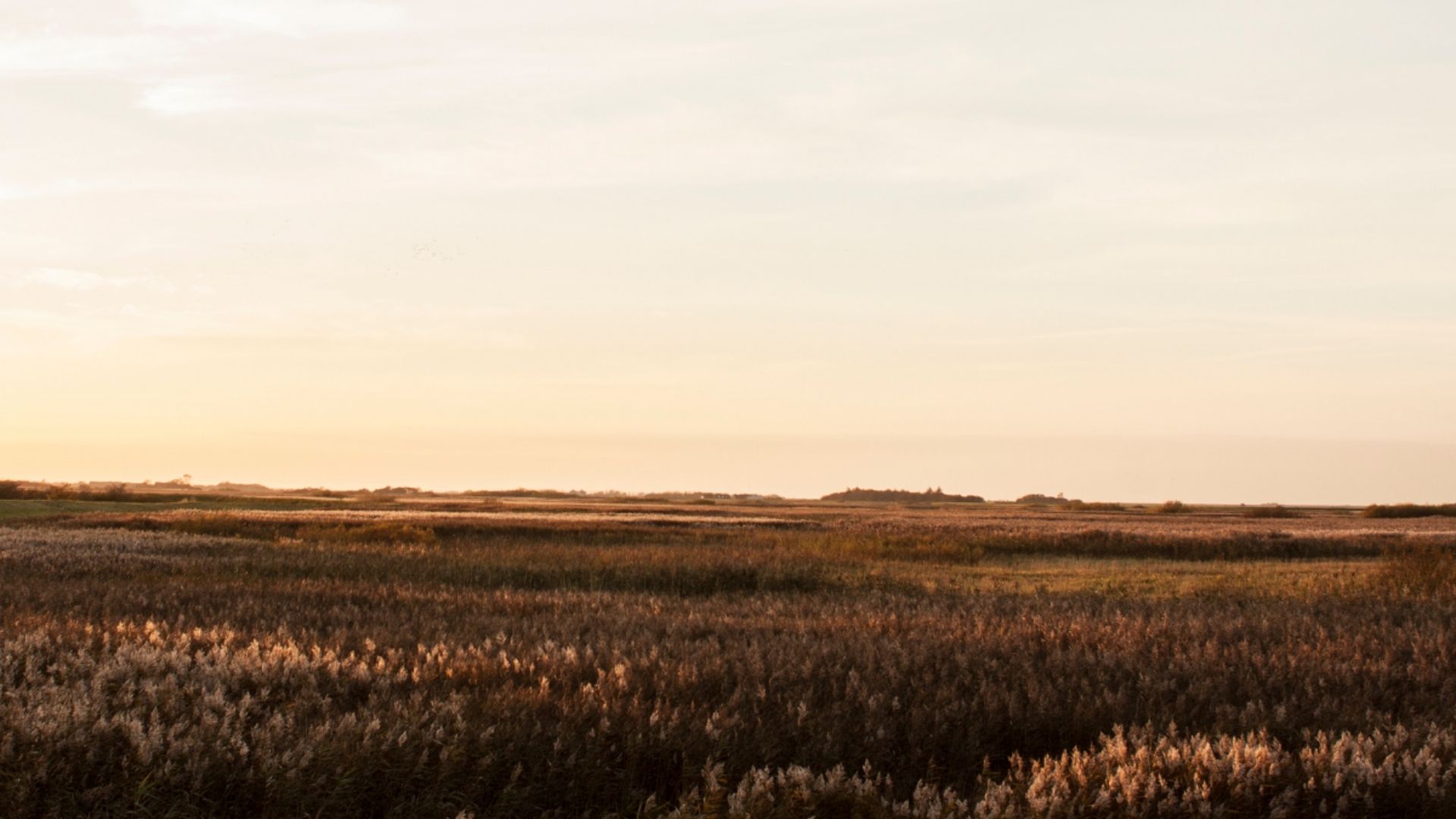 sønderjylland