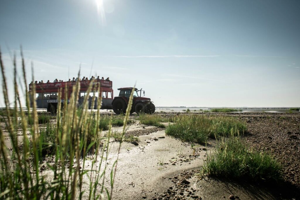 Bussen til Vadehavet