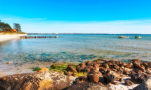 Fiskerbåde ved Ebeltoft Vig tæt på Ahl Strand
