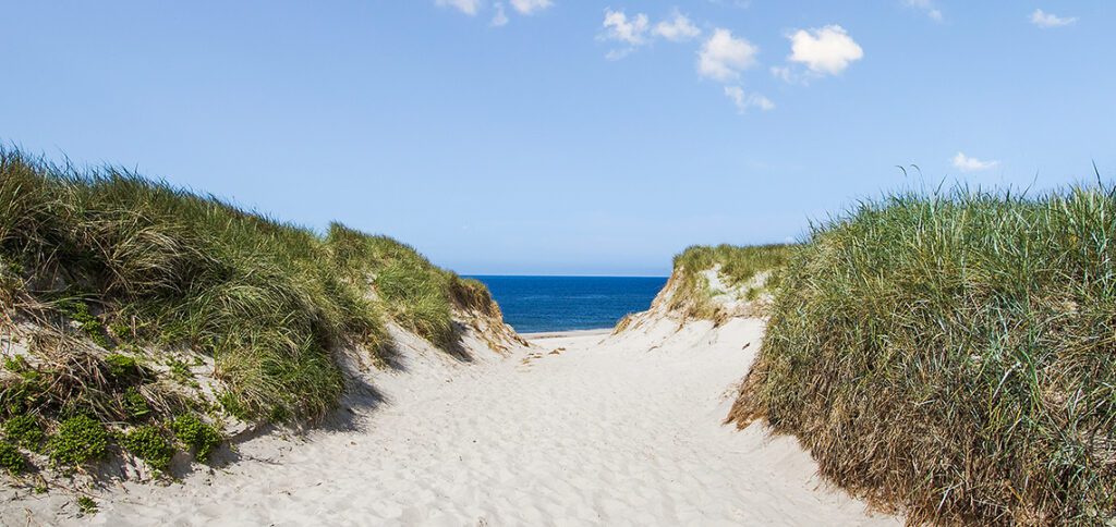 Dejlige sommerhuse ved Hvide Sande i Vestjylland - sommerhusudlejning i Hvide Sande