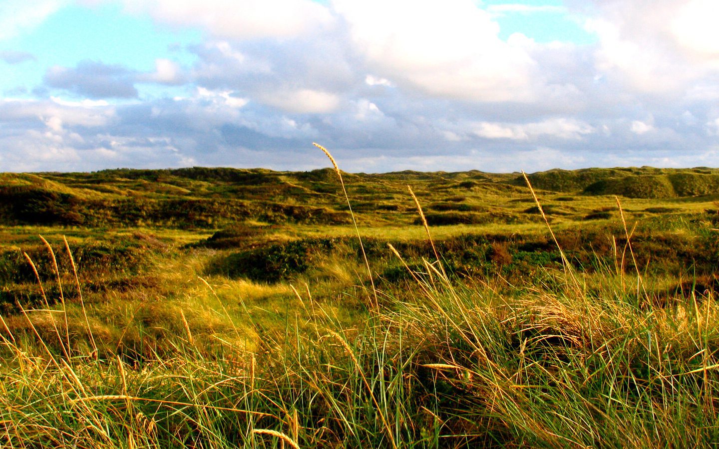 Sommerhuse i Thy