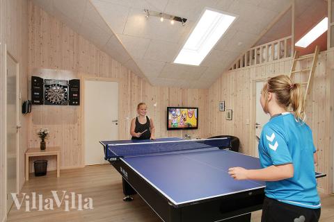 Der er sørget for underholdningen til hele familien med billard/bordtennis og dart i aktivitetrummet