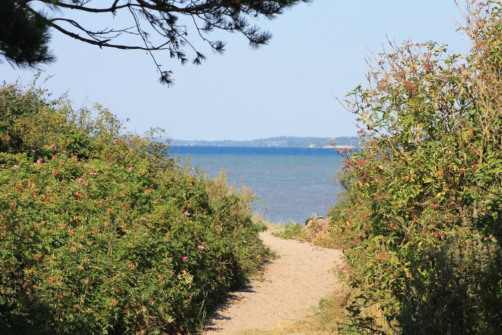 Stranden nær luksushus nr. 296 i Sydjylland indbyder til en gåtur.