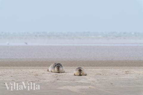 Besøg luksushus 179 i Sydjylland.