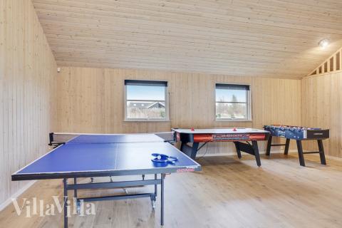 Dyst i sommerhusets aktivitetsrum, når I besøger luksushus nr. 206 i Lolland/Falster/Møn.