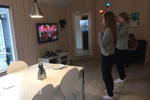 Dyst i sommerhusets aktivitetsrum, når I besøger luksushus nr. 316 i Fyn og øer.