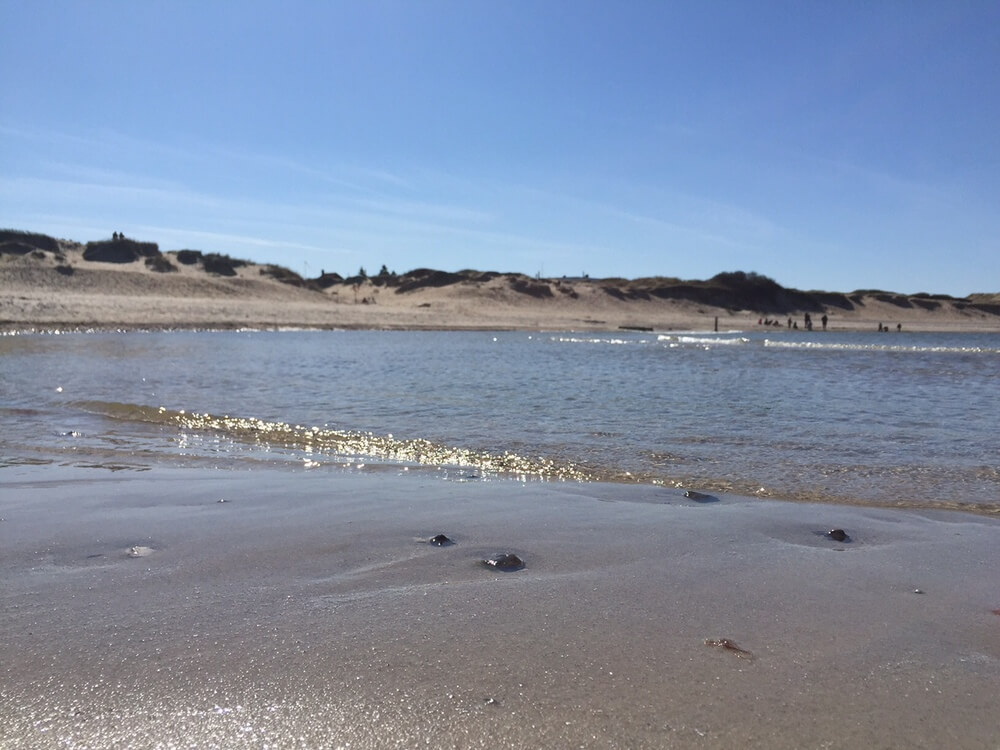 Den dejlige strand nær luksushus 350 ved Nordsjælland.