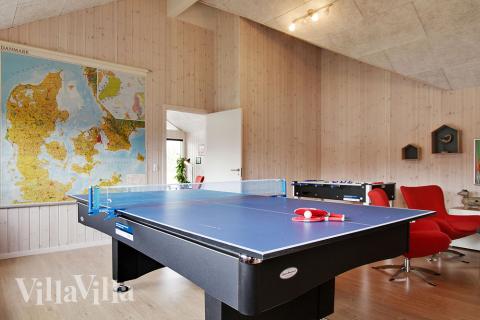 Luksushus 358 til 18 personer byder på et stort aktivitetsrum med bl.a. billard og dart