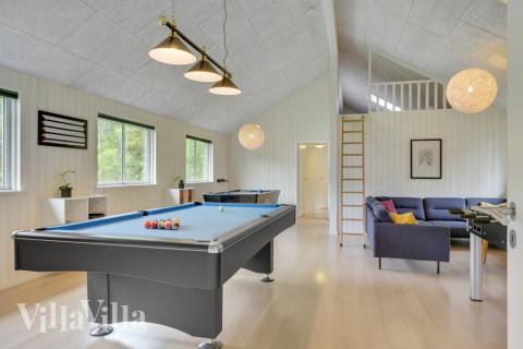 Luksushus 365 til 20 personer byder på et stort aktivitetsrum med bl.a. billard og dart