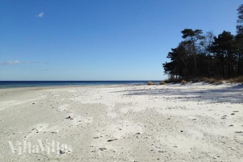 Stranden nær luksushus nr. 370.
