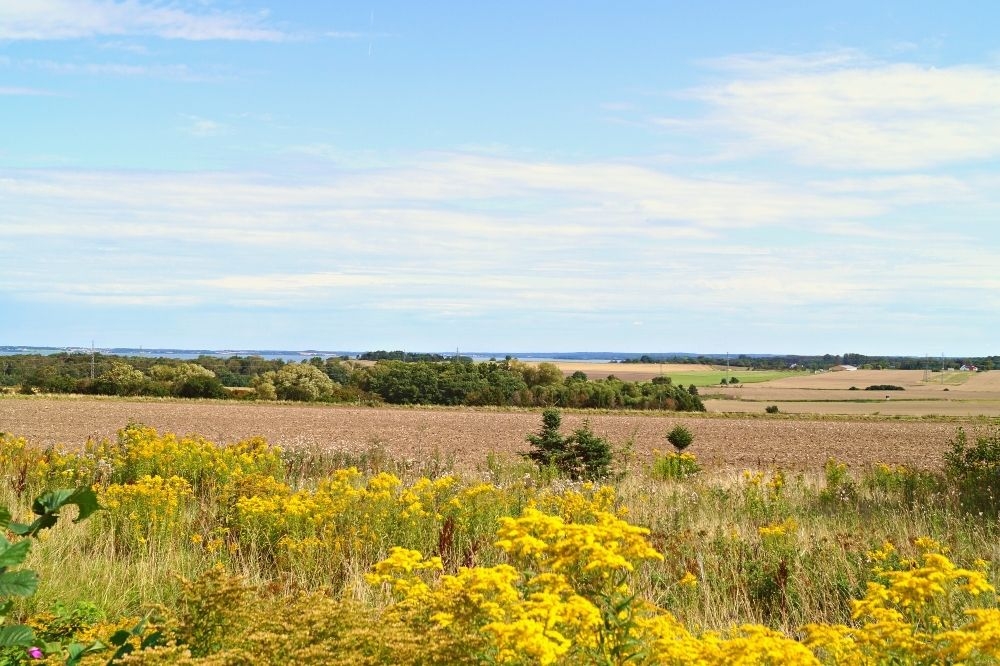 Besøg luksushus 375 i Nordsjælland.