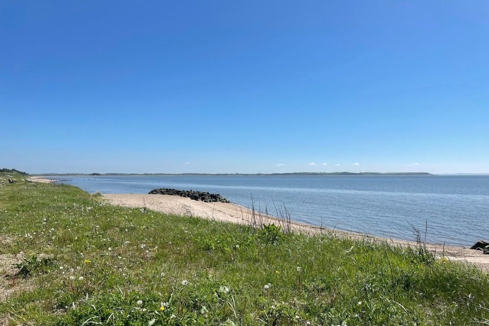 Den dejlige strand nær luksushus 405 ved Limfjorden.