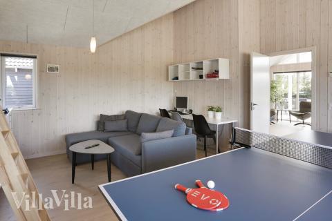 Luksushus 413 til 20 personer byder på et stort aktivitetsrum med bl.a. billard og dart