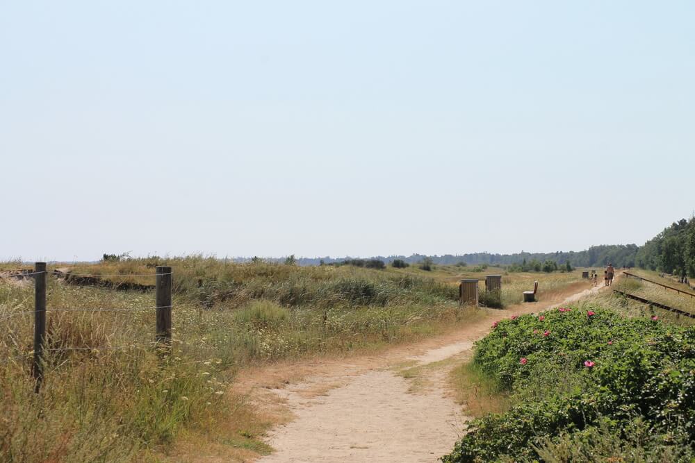 Stranden nær luksushus nr. 413 i Lolland/Falster/Møn indbyder til en gåtur.