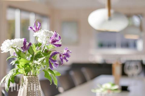 Luksushus nr. 435 har et dejligt opholdsrum.