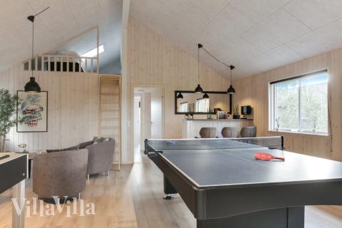 Dyst i sommerhusets aktivitetsrum, når I besøger luksushus nr. 481 i Lolland/Falster/Møn.