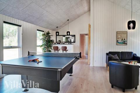 Luksushus 503 til 18 personer byder på et stort aktivitetsrum med bl.a. billard og dart