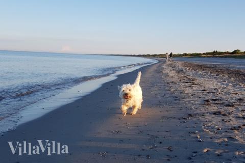 Stranden nær luksushus nr. 515.
