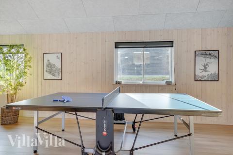 Dyst i sommerhusets aktivitetsrum, når I besøger luksushus nr. 499 i Sydjylland.