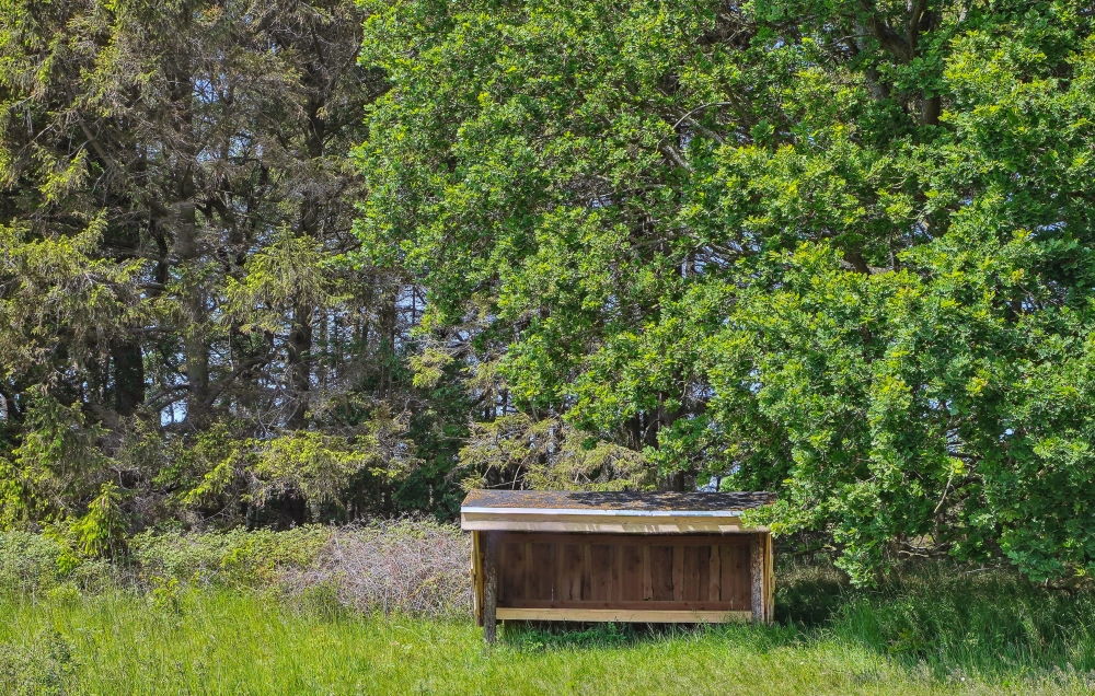 Stort udvalg af udendørs aktiviteter ved luksushus nr. 581 i Østjylland.