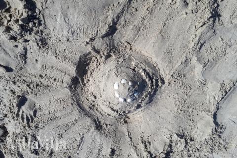 Stranden nær luksushus nr. 598 i Sydjylland indbyder til en gåtur.
