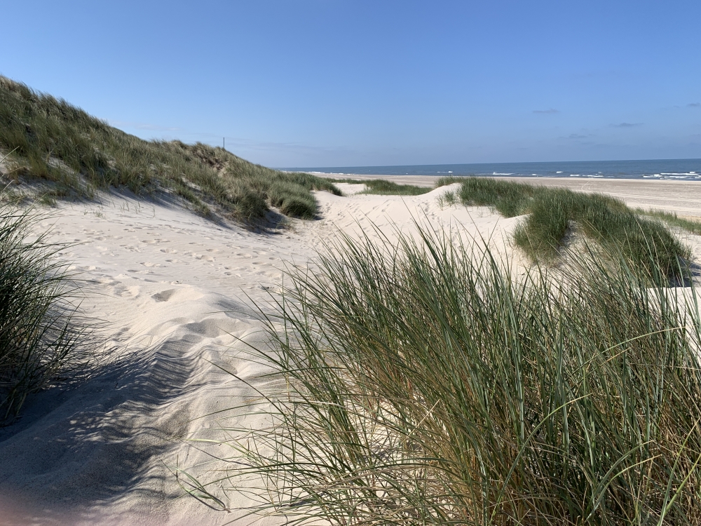 Den dejlige strand nær luksushus 608 ved Vestjylland.