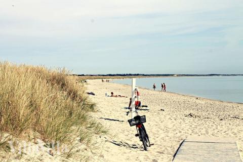 Den dejlige strand nær luksushus 619 ved Nordjylland.