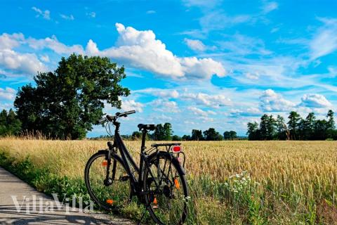 Besøg luksushus 644 i Lolland/Falster/Møn.