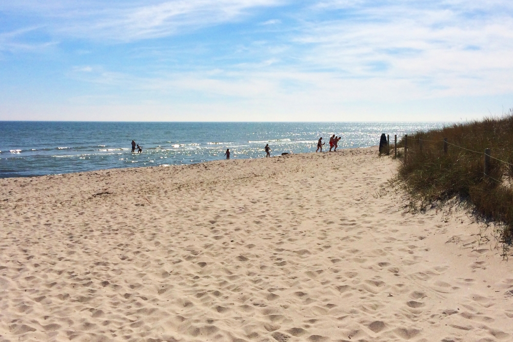 Den dejlige strand nær luksushus 650 ved Lolland/Falster/Møn.