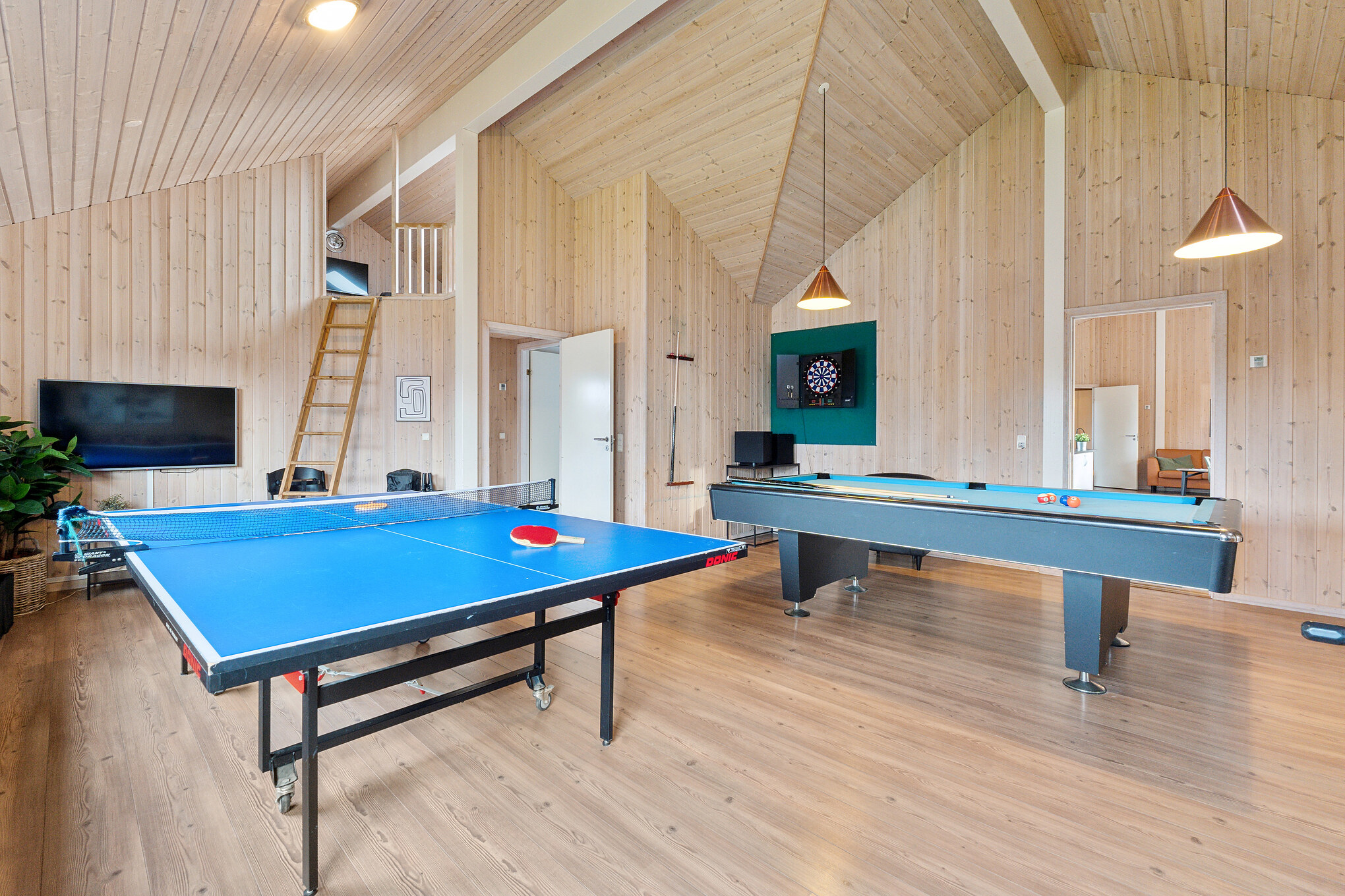 Ud over de mange timer, man kan bruge i husets pool-afdeling, så byder luksushus 220 også på billard/bordtennis og dart