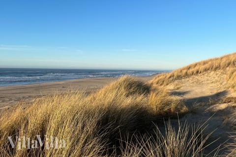 Stranden nær luksushus nr. 672.