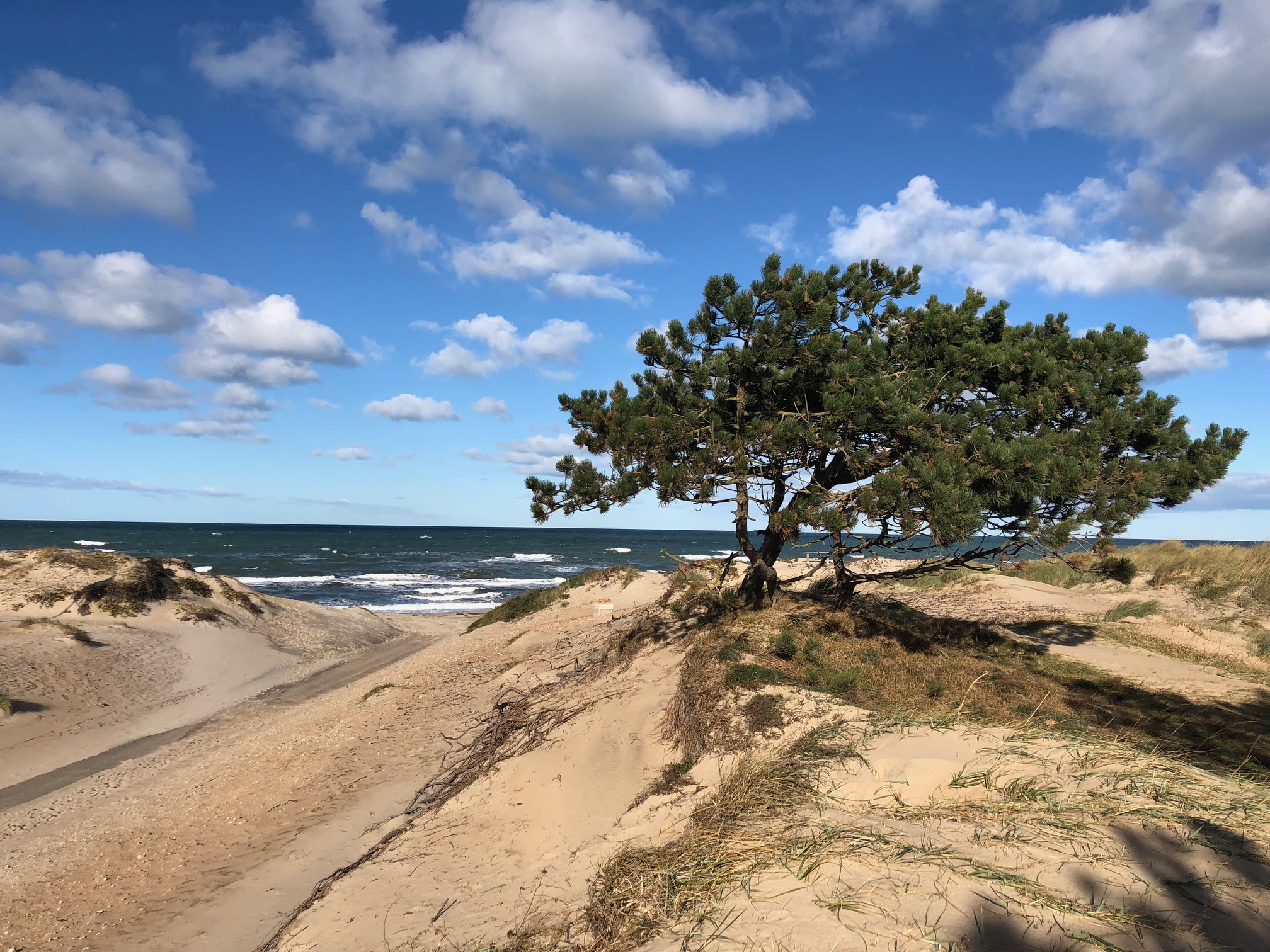 Stranden nær luksushus nr. 693.