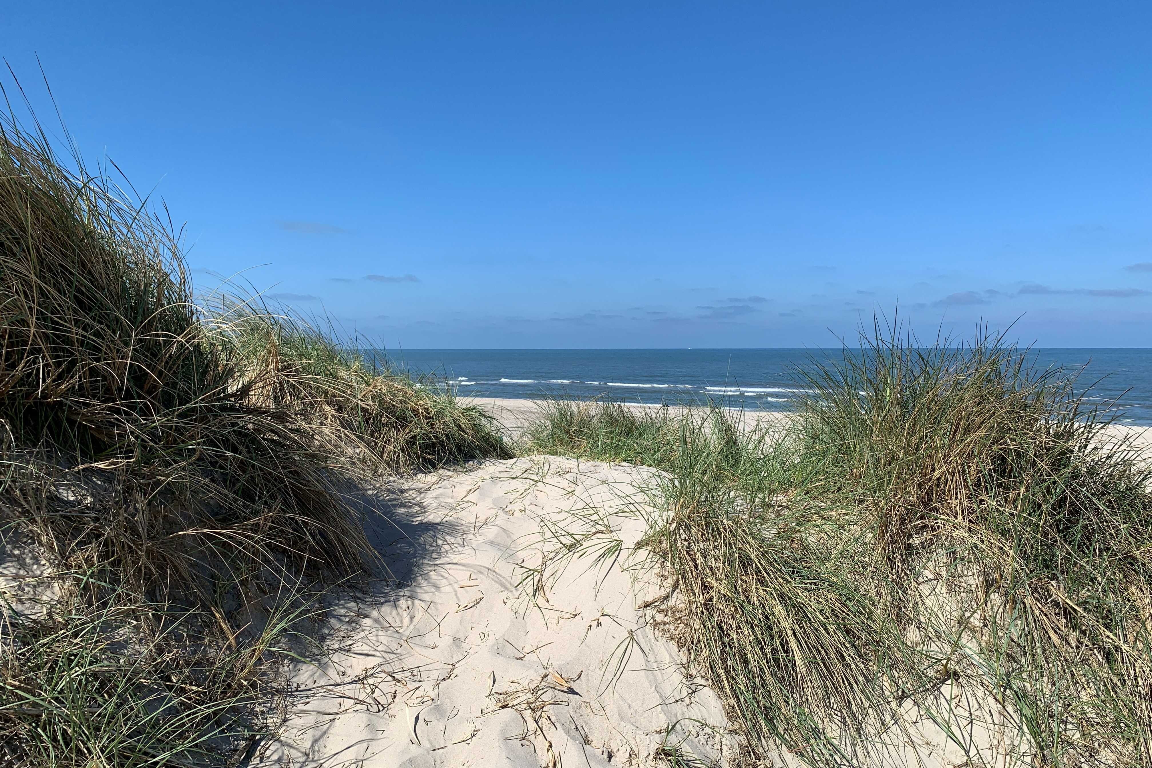 Stranden nær luksushus nr. 698.