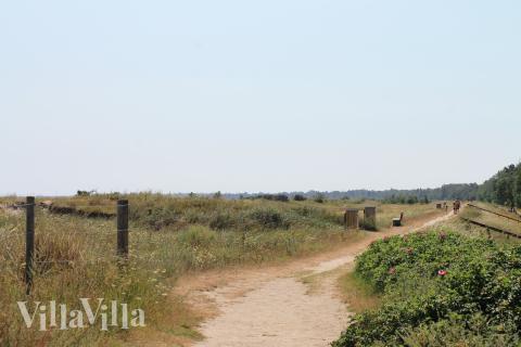 Den dejlige strand nær luksushus 689 ved Lolland/Falster/Møn.