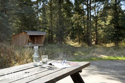 På terrassen i sommerhus nr. 552 er der plads til 12 personer.