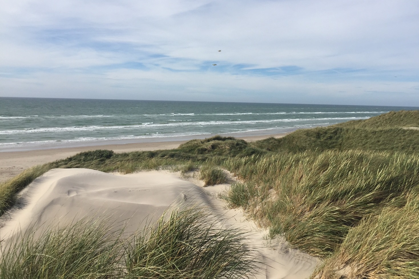 Besøg luksushus 683 i Nordjylland.