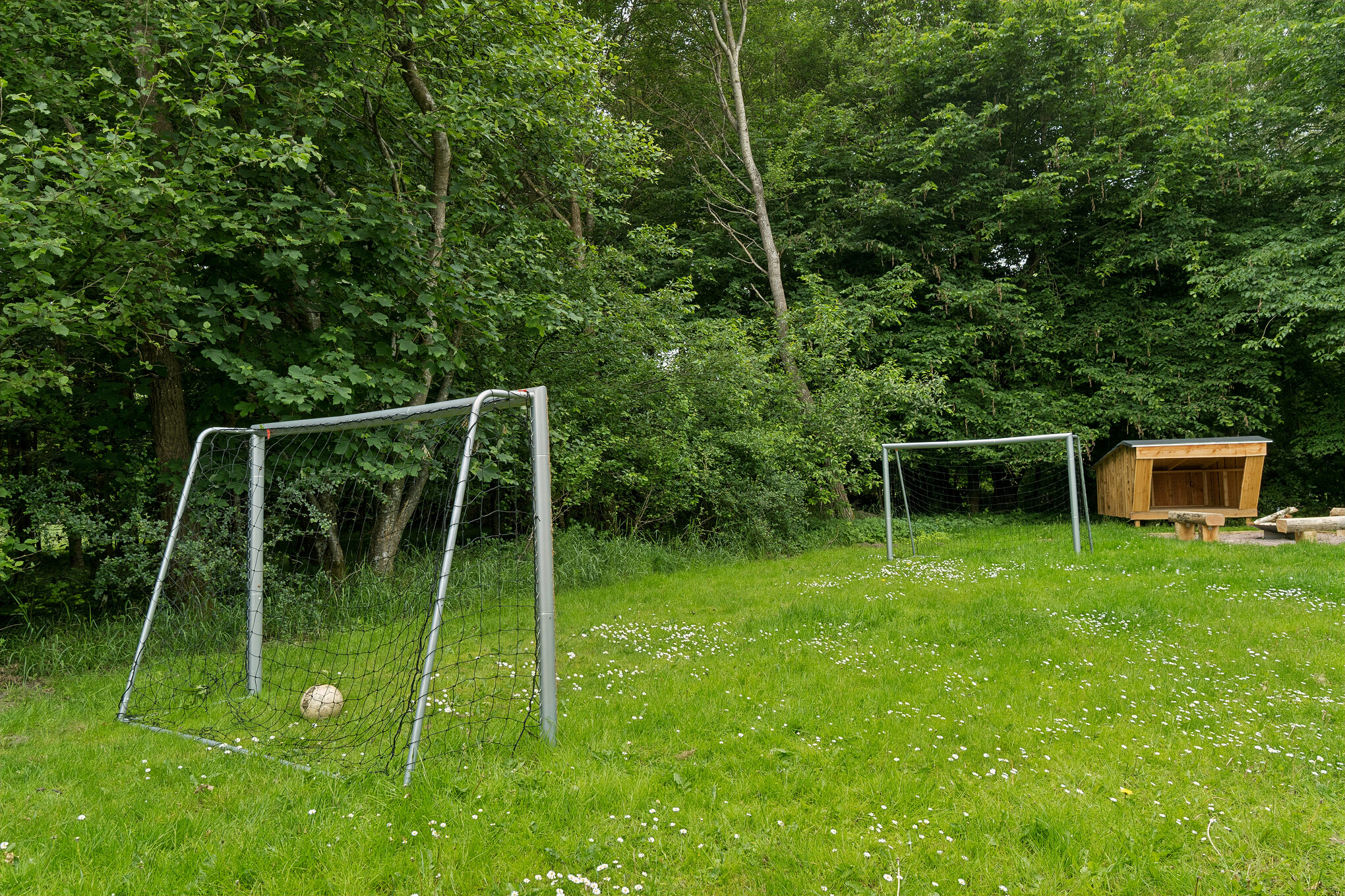 Ude-aktiviteter omkring sommerhus nr. 320.