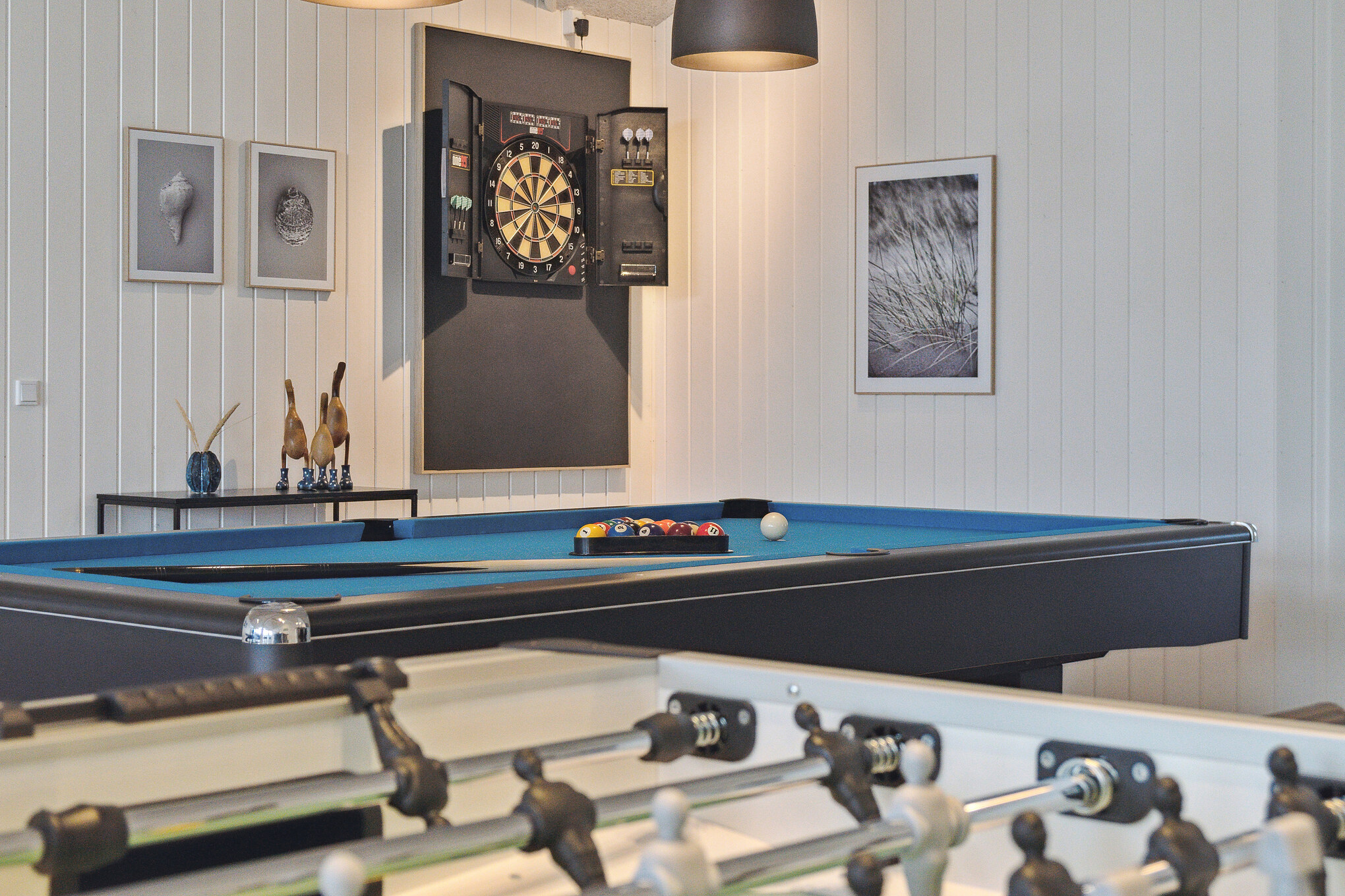 Ud over de mange timer, man kan bruge i husets pool-afdeling, så byder luksushus 673 også på billard/bordtennis og dart
