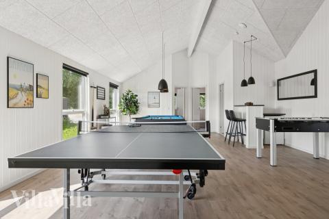Luksushus 657 til 20 personer byder på et stort aktivitetsrum med bl.a. billard og dart