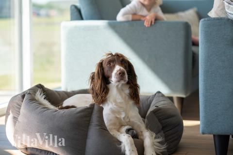 Sofaen i luksushus 696 i Fyn og øer indbyder til brætspil eller at se en film sammen.